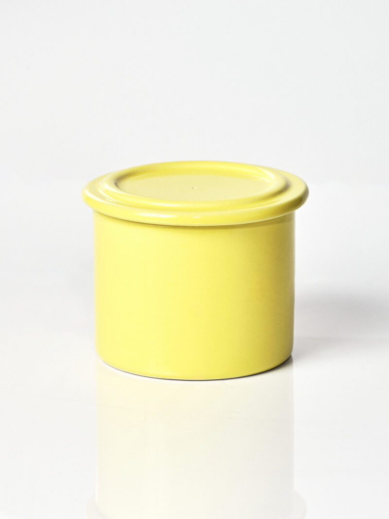 Maselnica Francuska / Acid Yellow